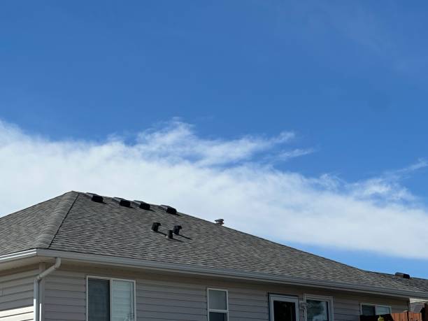 Best Asphalt Shingles Roofing  in Galva, IL