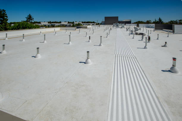 Best Metal Roofing Installation  in Galva, IL